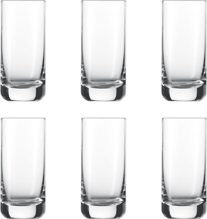 Schott Zwiesel Convention Bier Tumbler 42 - 0.32 Ltr - set van 6