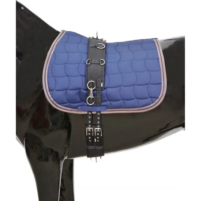 Surfplank voor paarden HorseGuard