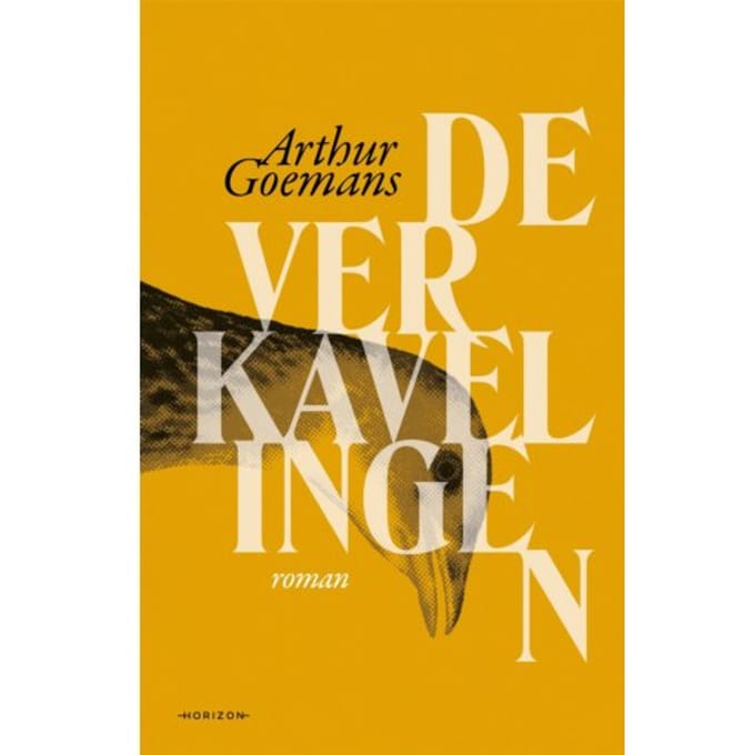 De Verkavelingen - Arthur Goemans