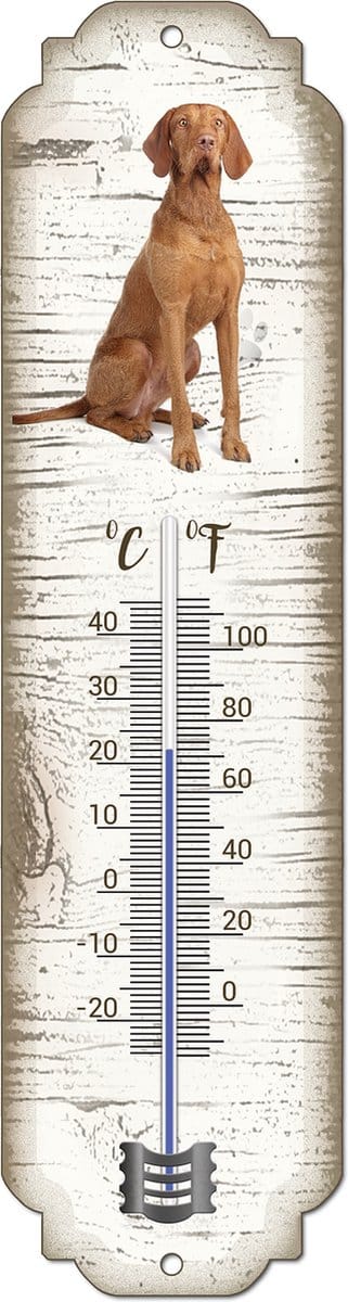 Thermometer: Vizsla Korthaar | Hondenras | Temperatuur binnen en buiten | -25 tot +45C