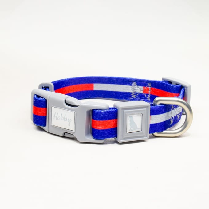 Luxe Halsband voor Honden-Verstelbaar 25 Cm-35 Cm x 1,5 Cm-Strip