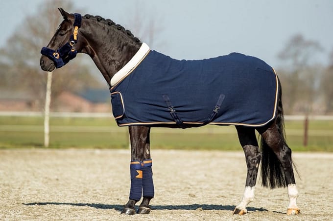 HB SHOWTIME BLUE MOON SHOWDEKEN Donkerblauw
