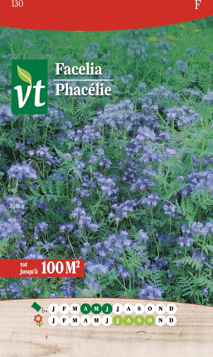 VT facelia 150 gram - De perfecte groenbemester!