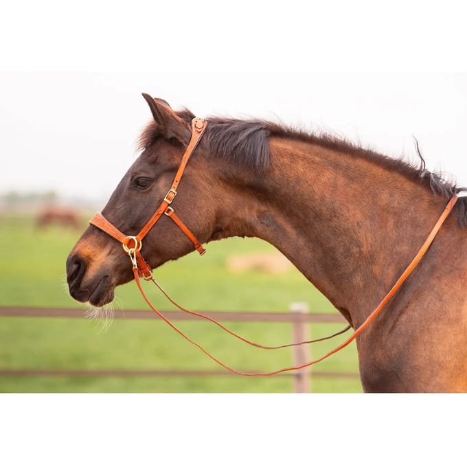 Bitloos hoofdstel voor paarden Edix Saddles ED2-Rose