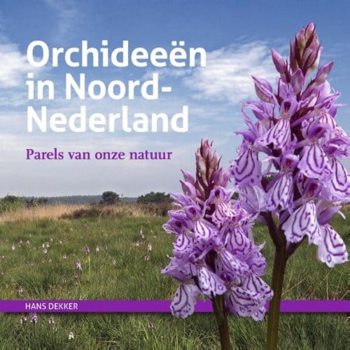 Orchideeën In Noord-Nederland - Hans Dekker