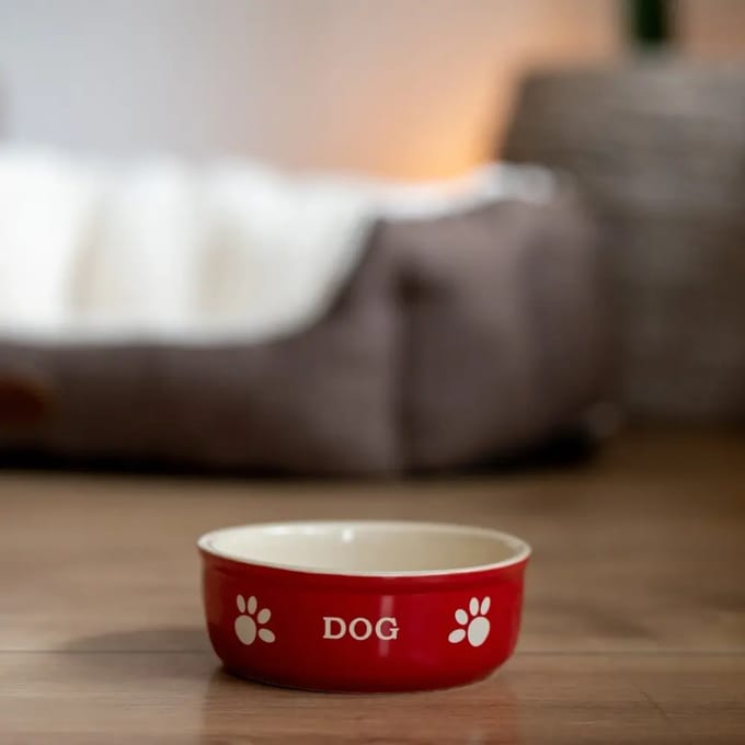 Keramische hondenbak Nobby Pet Dog