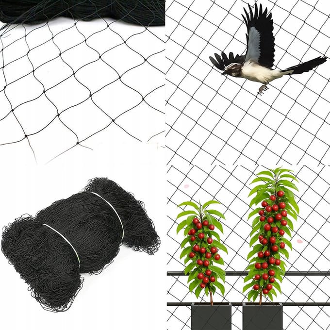 Inna - Vogelbescherming Net - 10x10m - Duurzaam - Weerbestendig