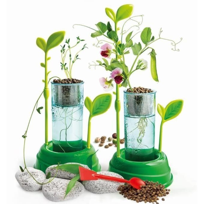 Educatieve spellen voor planten en hydrocultuur Clementoni