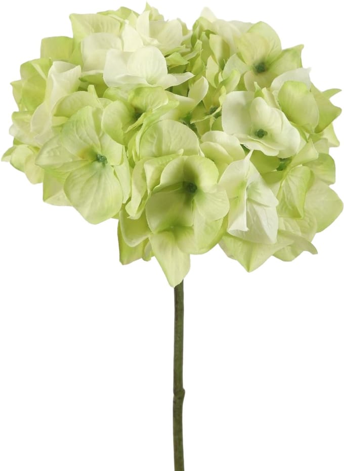 Viv! Home Luxuries Hortensia - zijden bloem - groen wit - 48cm