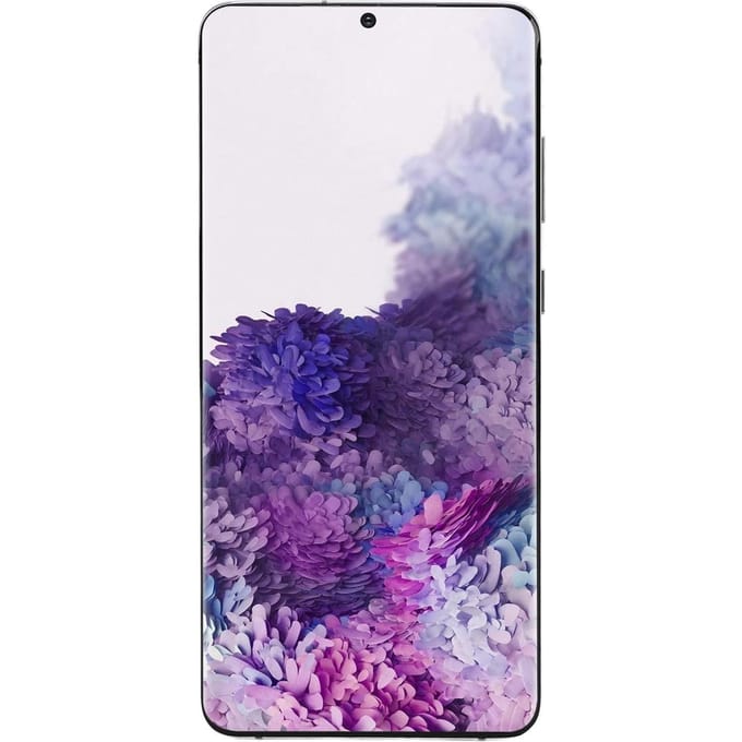 Écran de Remplacement de Téléphone Remplacement Professionnel 6,7 Pouces Écran LCD Assemblage Numériseur avec Empreinte Digitale pour S20 Plus argenté