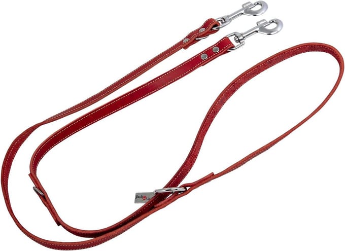 Trainingriem Vetleer voor Honden 25 mm x 200 cm Rood