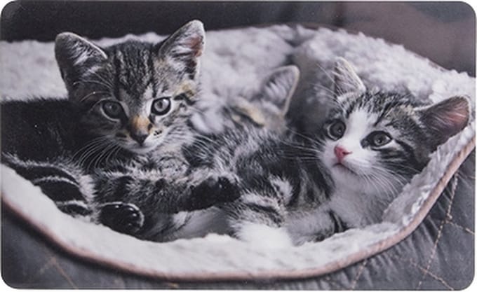 Art oms ONTBIJTPLANKJE KITTYS 23,5X14,5CM
