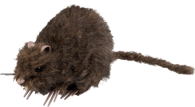 Boland - Decoratie Rat - Horror - Horror