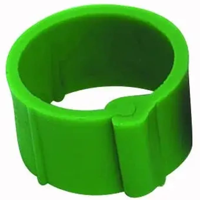 Klemring Chick'A (x50)