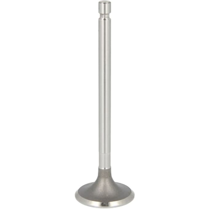 Inlaatklep PARADOWSCY PURS011
