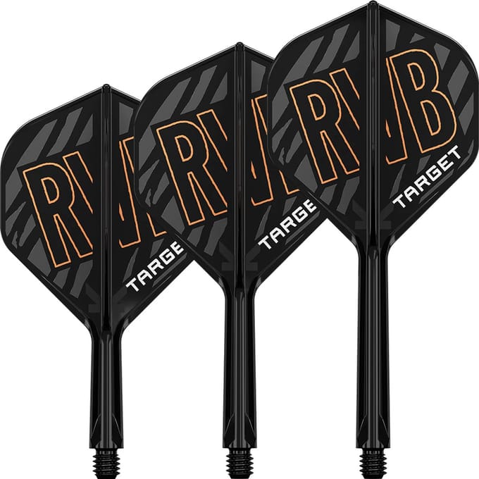 Target K-Flex Raymond van Barneveld NO2 - Dart Flights
