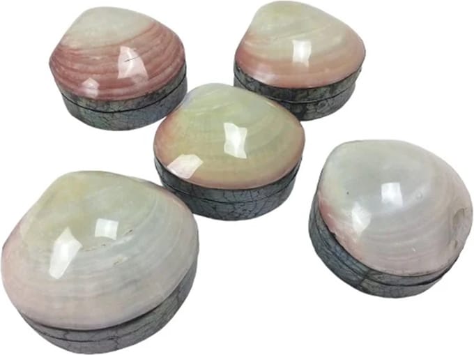Schelpendoosje parelmoer roze/creme 10 cm