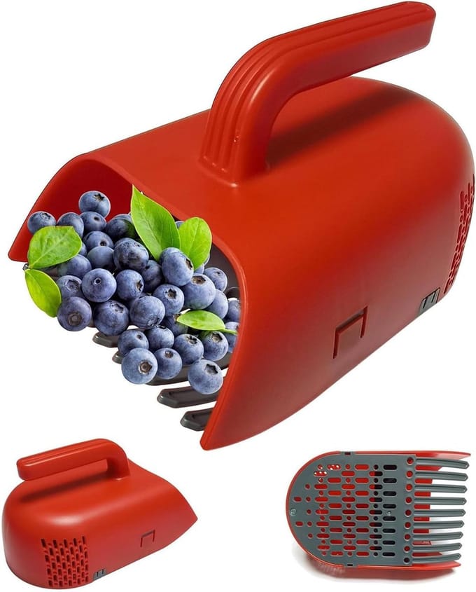 Bessenplukker hark - Fruitplukker kam - Fruit oogsten - Ergonomische grip - 22.8 x 14 x 12.4 cm - Rood