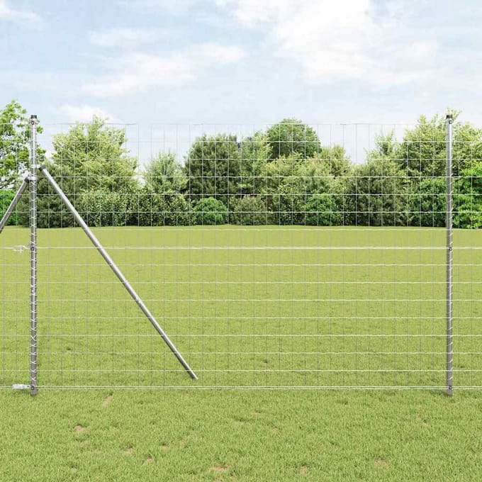 vidaXL - Euro - Hek - 1,6 - x - 10 - m - PVC-gelaagd - ijzer