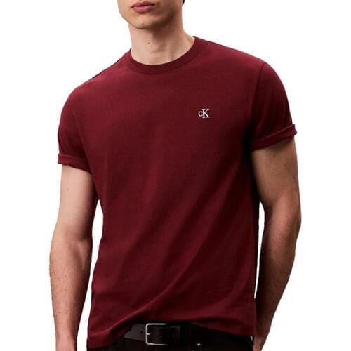 T-shirt Korte Mouw Calvin Klein Jeans Easy LV04RC275G