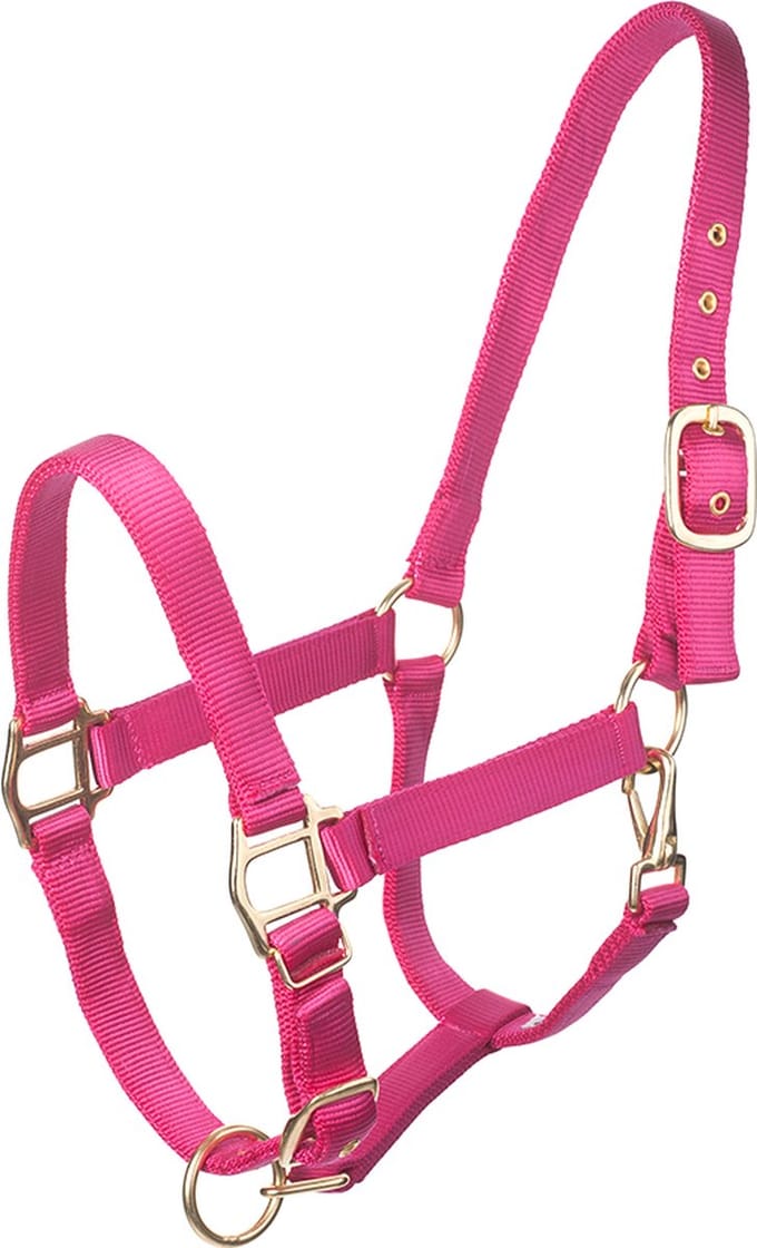 MHS Halster Fancy Roze Full