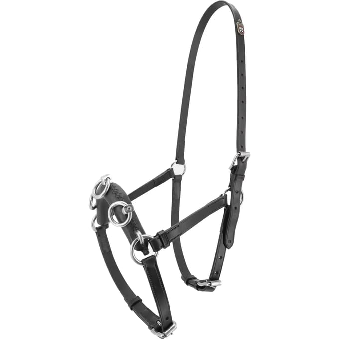 Paardenbox Kieffer Perfect