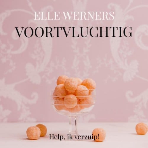 Voorvluchtig - ELLE WERNERS
