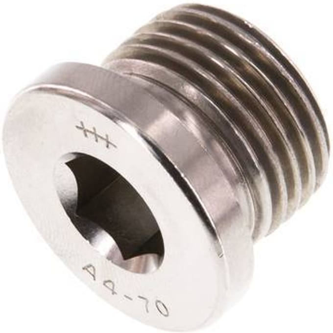 G 1/2'' RVS Plug met Binnenzeskant 40 Bar