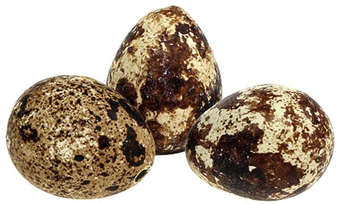 Kwartel eieren als decoratie, leeg, naturel, 50 stuks, 50 Stück