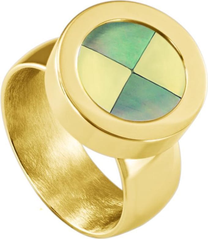 Quiges RVS Schroefsysteem Ring Goudkleurig Glans 18mm met Verwisselbare Multi Blokjes Schelp 12mm Mini Munt