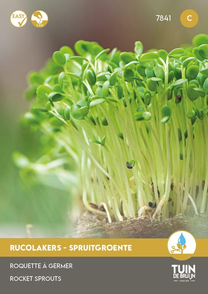 Tuin de Bruijn® zaden - Rucolakers Spruitgroente - kiemgroente - sprouting