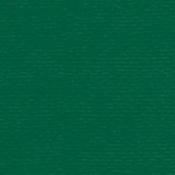 Papicolor Papier A4 dennengroen 105gr-CV 12 vel 300950 - 210x297mm