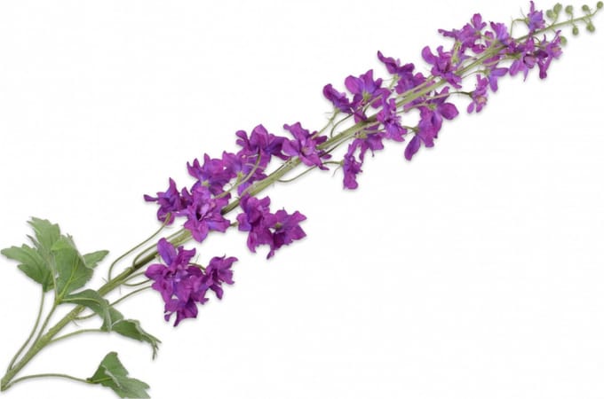 Silk-ka - Kunsttak - delphinium - paars - H127 cm