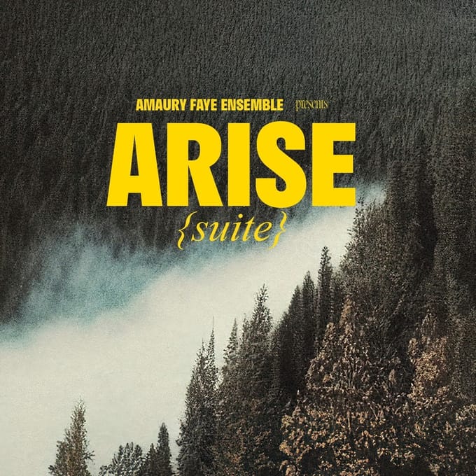 Amaury Faye Ensemble - Arise (Suite) (CD)