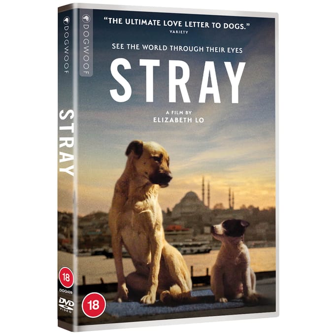 Stray