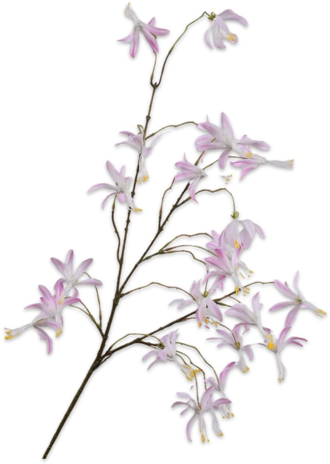 Silk-ka Kunstbloem-Zijden Bloem Orchidee Tak Roze 99 cm