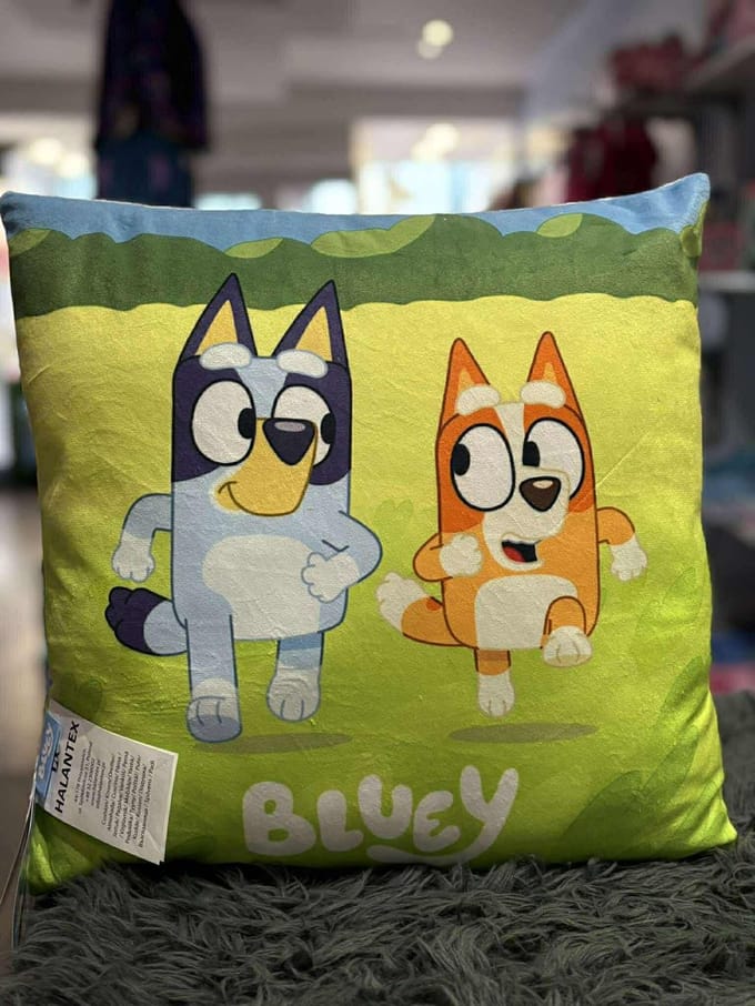 Kussen - bluey