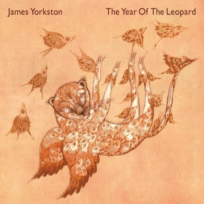 Year Of The Leopard - James Yorkston