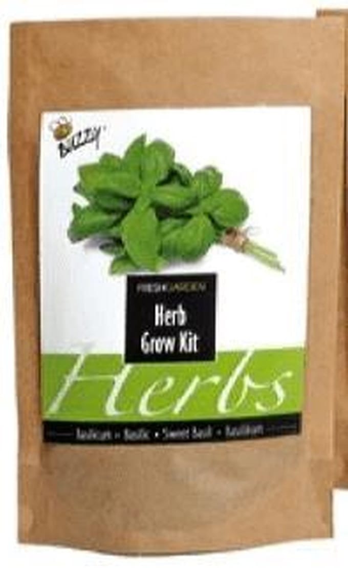 Buzzy  Fresh Garden grow Bag Basilicum