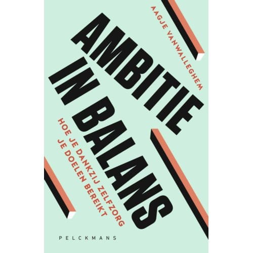 Ambitie In Balans - Aagje Vanwalleghem