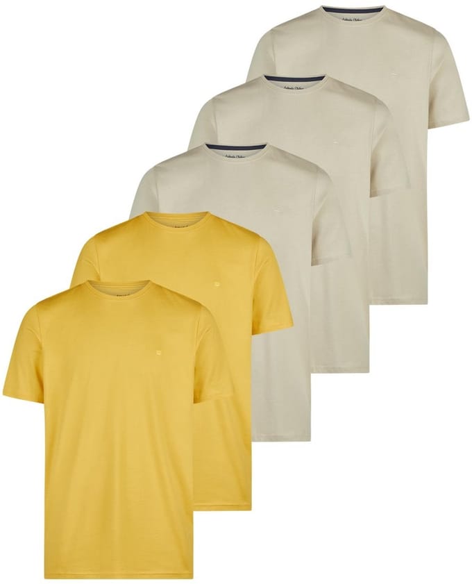 Redmond Heren t-shirt 5 pack Basic