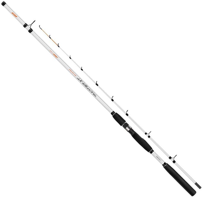 Colmic Panter Xt Bodemvissen Hengel Zilver 2.70 m