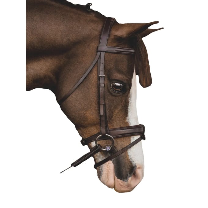 Bridon Paardrijden Muserolle Gecombineerd met Bit Equiline poney