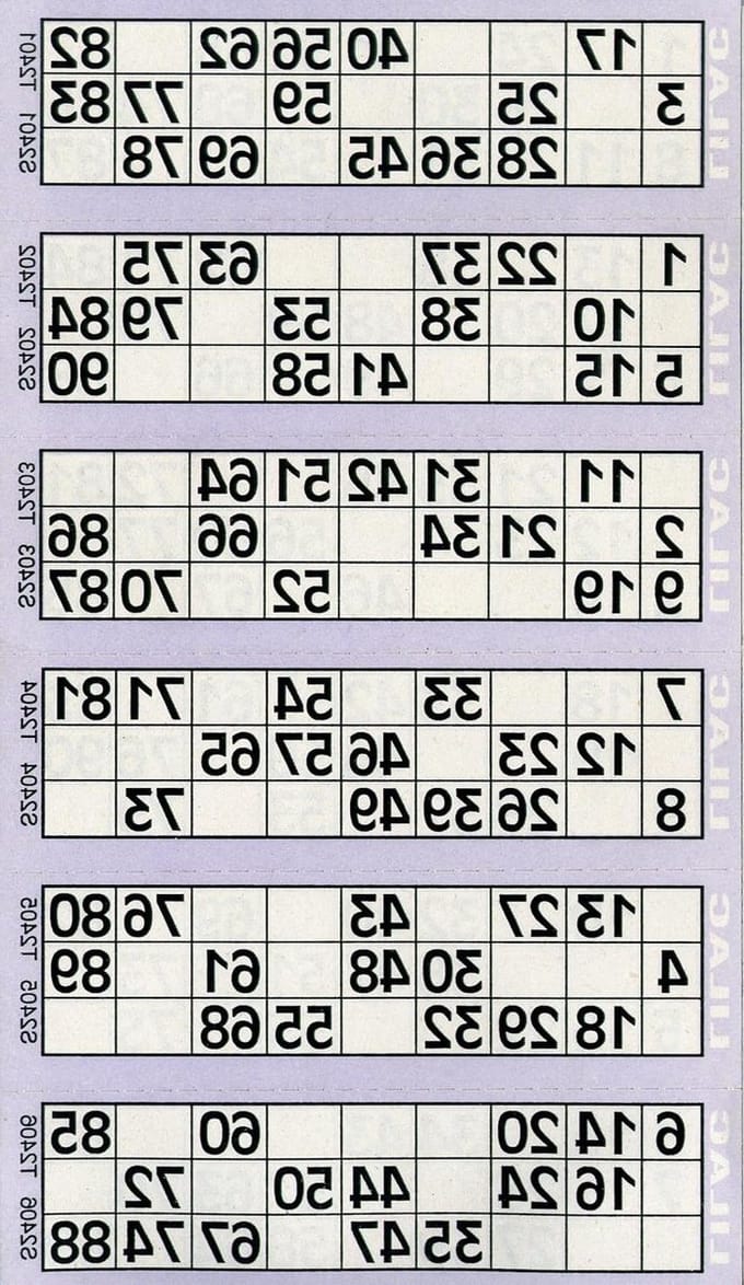 Bingo Flyers - Bingotickets - Spelavond Organiseren - 12000 Stuks - 42 x 10.5 cm - Multicolor