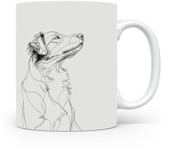 Beker Nova Scotia Duck Tolling Retriever