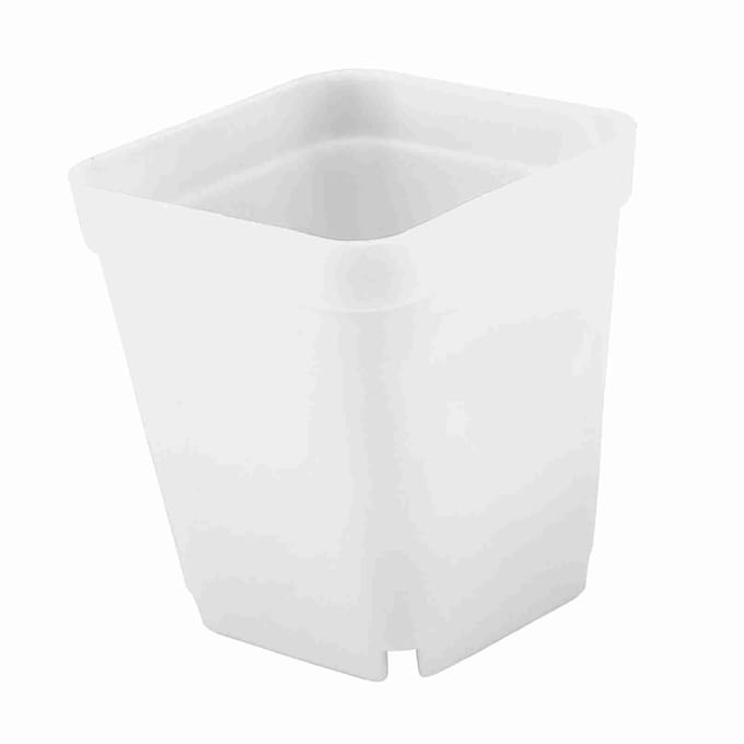 20 stuks Mini Moderne Succulenten Plantenpotjes Kleine plastic Containers, Scrub vierkante Potjes(Wit) White white