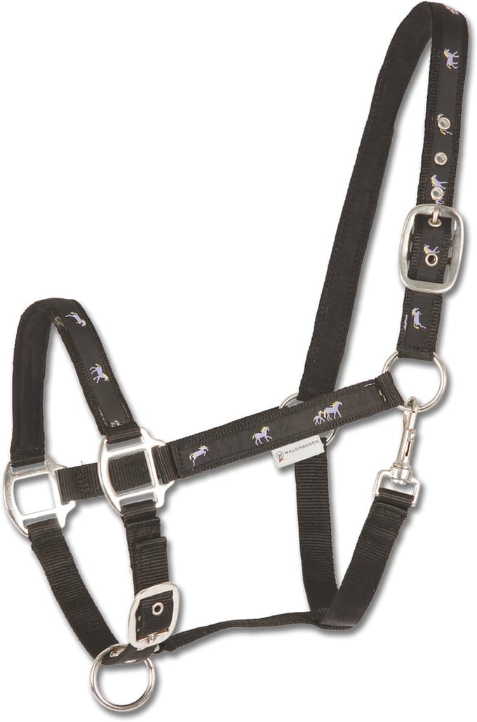 Little Horse Halter | Cob
