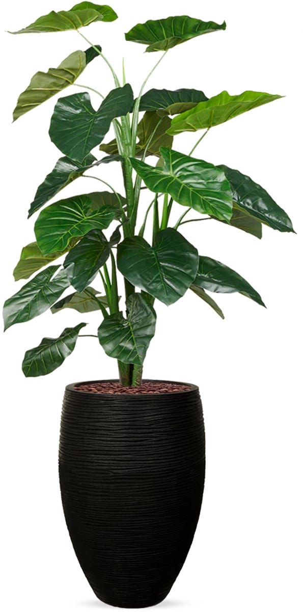 Kunstplant Philodendron in Vaas elegant Deluxe rib zwart H155 cm