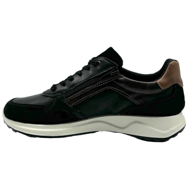 Ara 11-27901 moreno