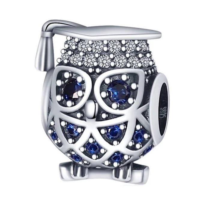 Bedel Uil - Geslaagd - Voor bedelarmband - Sieraden - Zilver - RomyStones